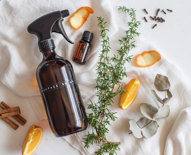 homemade spray for cockroaches rats and flies inside 