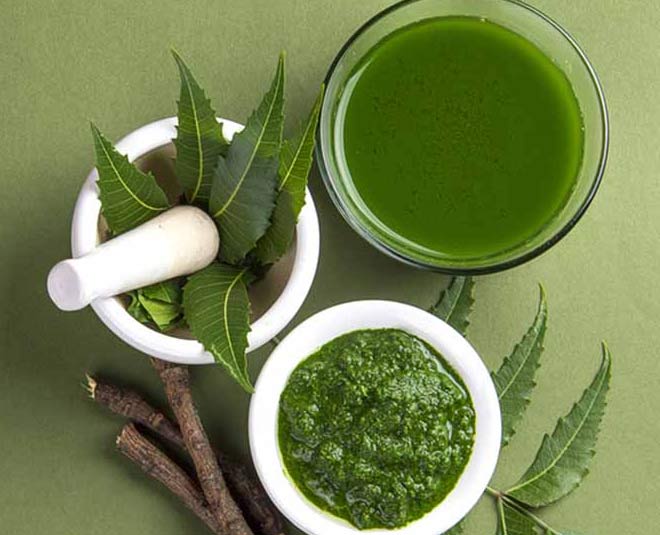 homemade spray for cockroaches rats and flies tips inside 