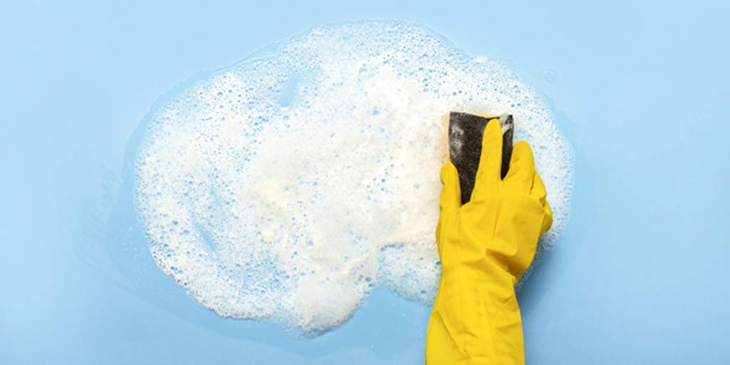 How To Shampoo Carpet In Easy Way In Hindi इन स्टेप्स को फॉलो करके