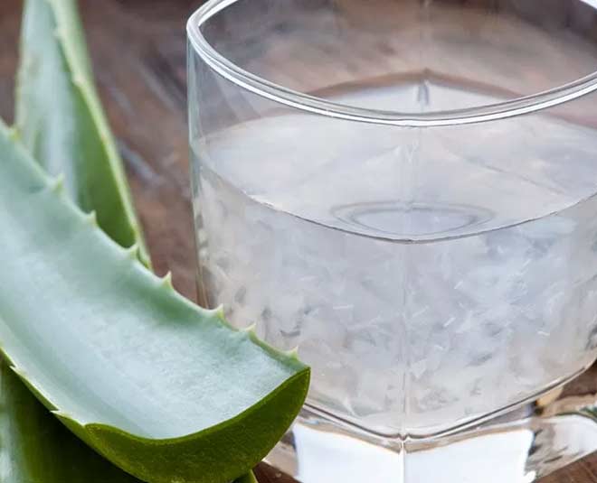 How To Store Aloe Vera Leaves In Hindi how to store aloe vera leaves