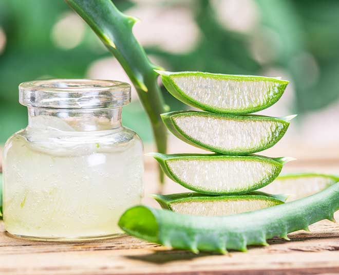 How To Store Aloe Vera Leaves In Hindi how to store aloe vera leaves