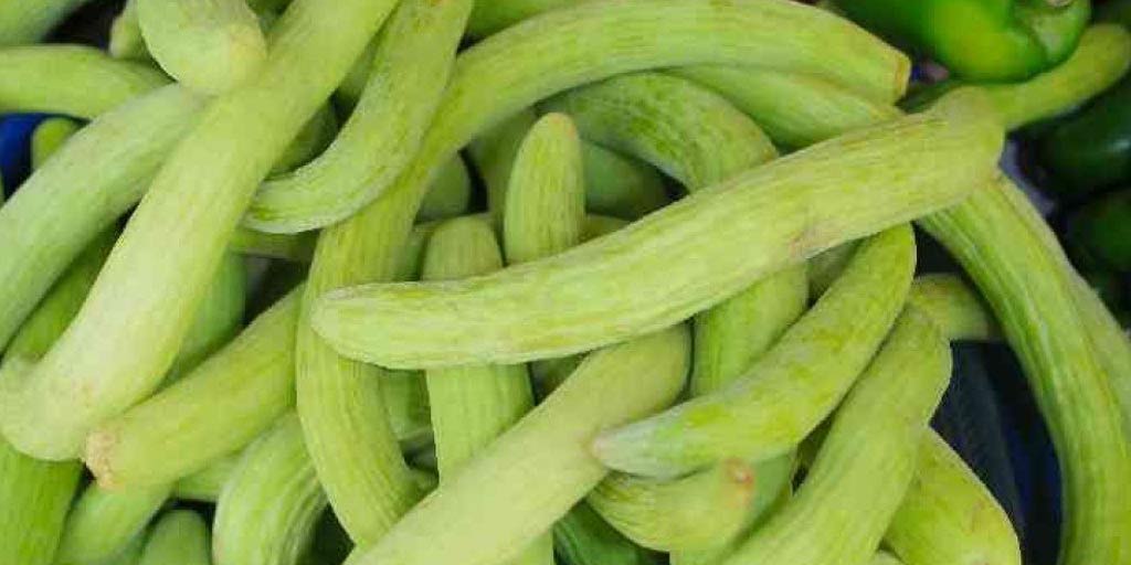Some Incredible Benefits Of Consuming Armenian Cucumbers Or Kakdi