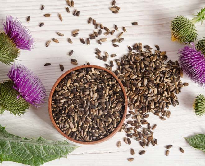 Milk Thistle Benefits In Hindi milk thistle benefits HerZindagi