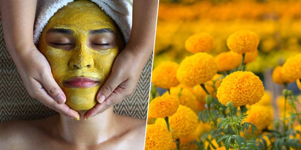DIY Marigold Flower Face Pack For Acne In Hindi diy marigold flower