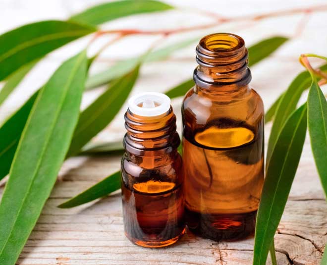 nilgiri oil benefits inside 