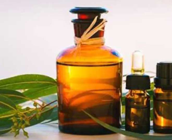 nilgiri oil benefits know inside 