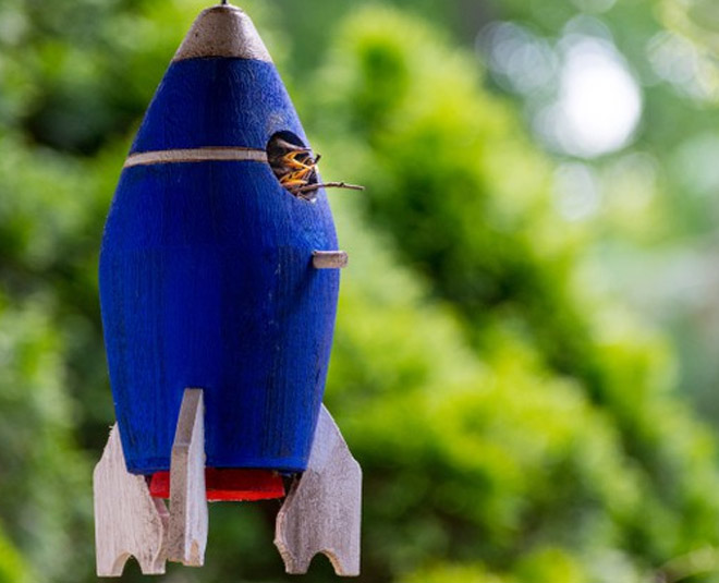 rocket bird house