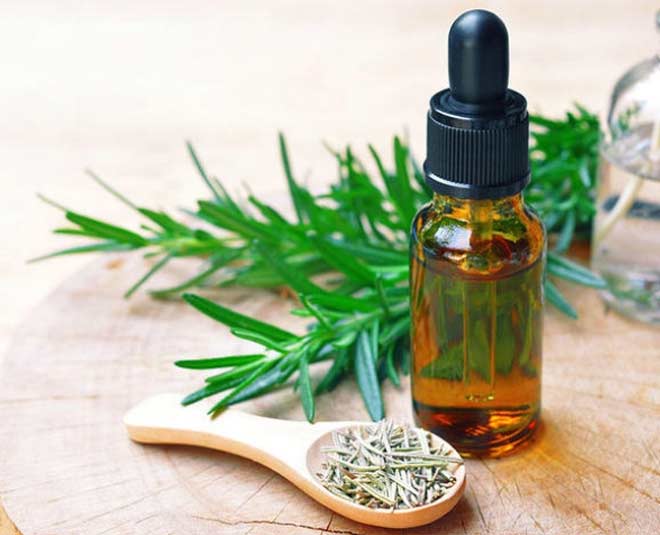 Rosemary Essential Oil Hindi Meaning