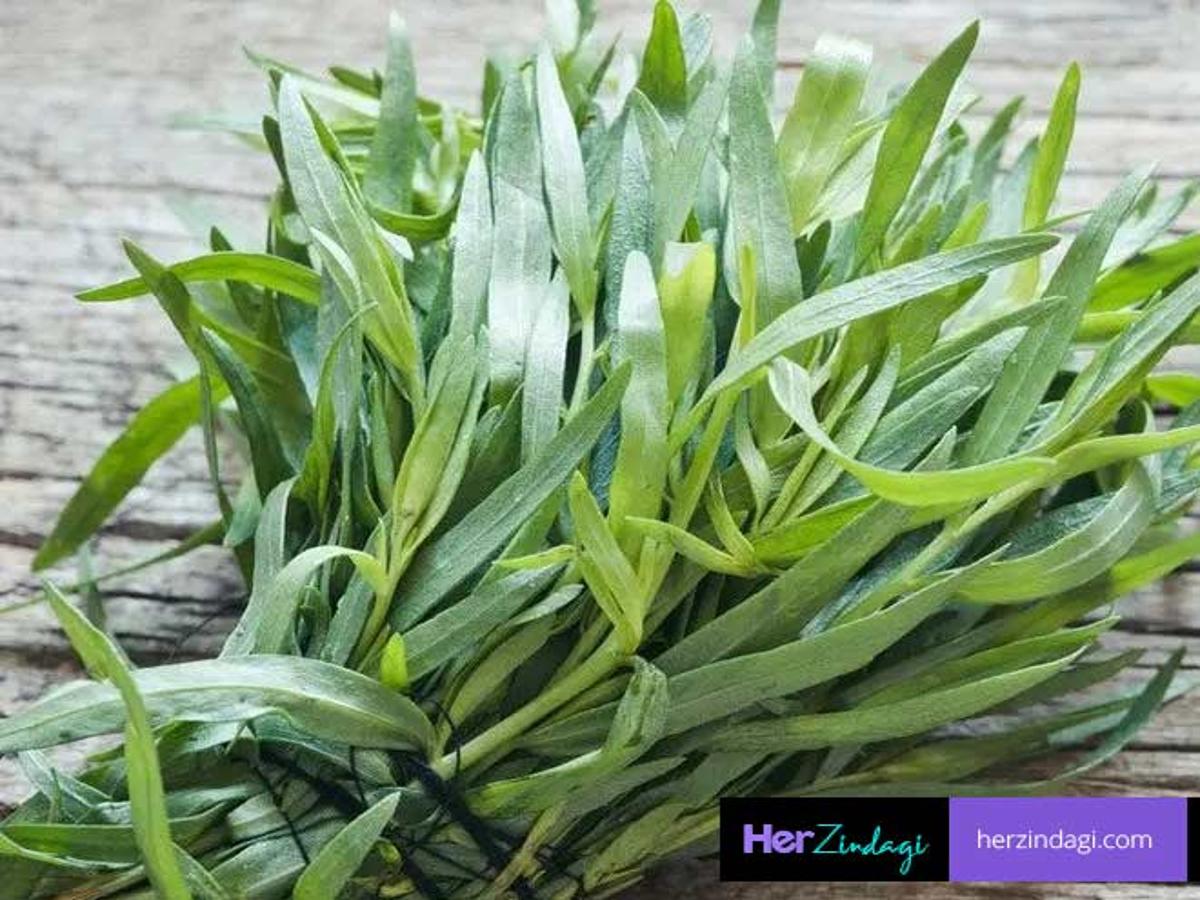 The Health Benefits Of Tarragon