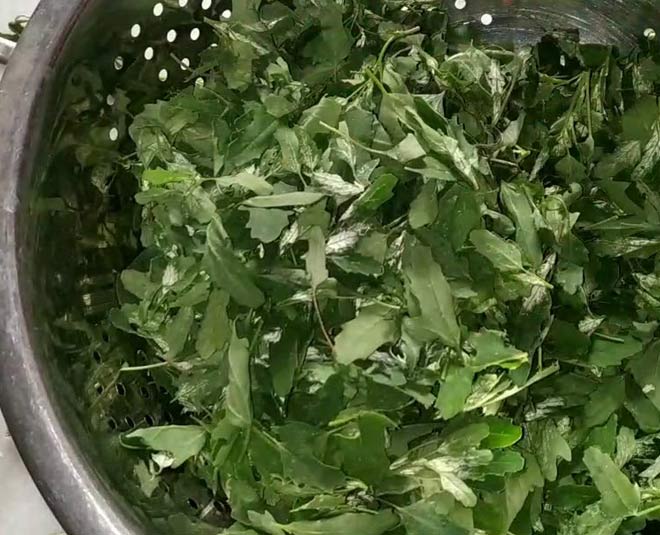 tips to clean different types of saag bathua inside 