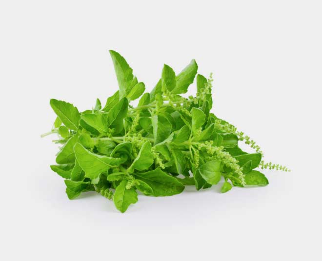 Here Is How To Use Basil Leaves Or Tulsi For Acidity HerZindagi