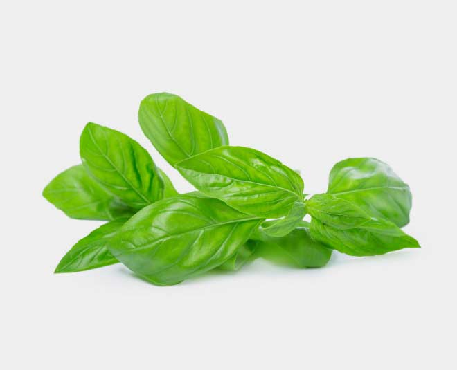 Here Is How To Use Basil Leaves Or Tulsi For Acidity HerZindagi