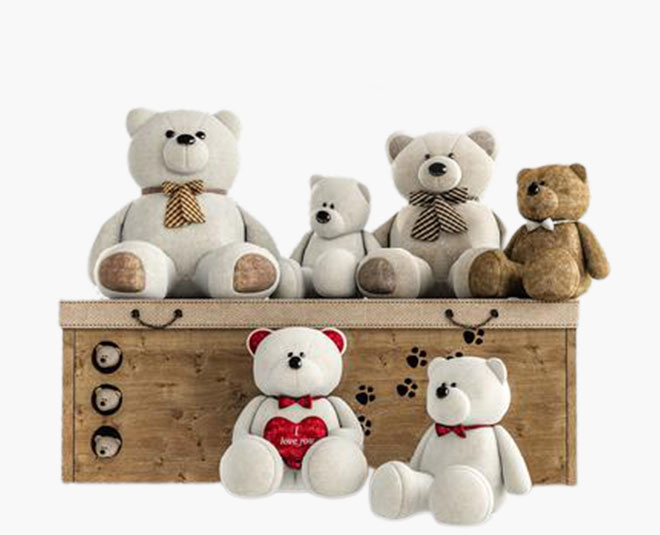 vaccume cleaning teddy