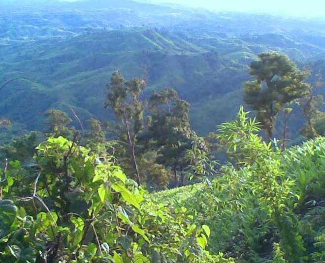 visit in mizoram inside 