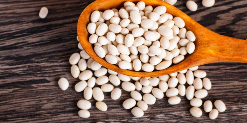 White Beans Health Benefits By Expert In Hindi जानें सफ़ेद बीन्स के