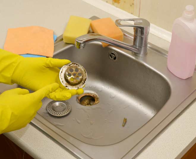 Drain Protector inside 