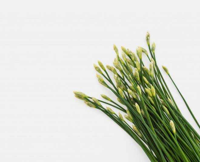Chives Health Benefits In Hindi chives health benefits HerZindagi