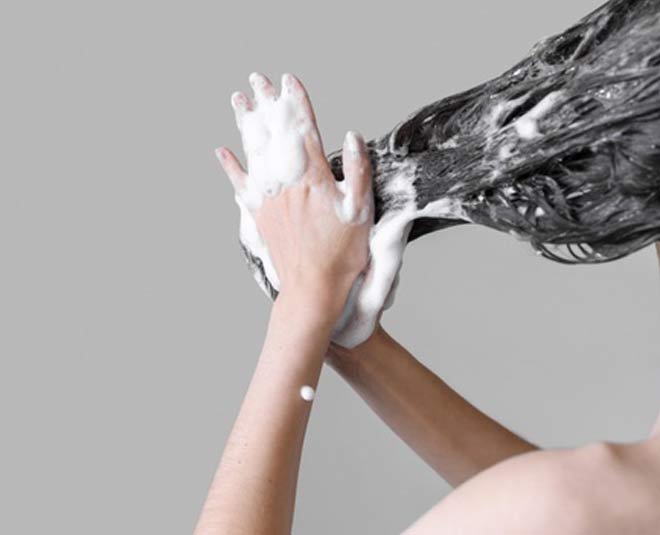 dandruff hair fall shampoo inside 