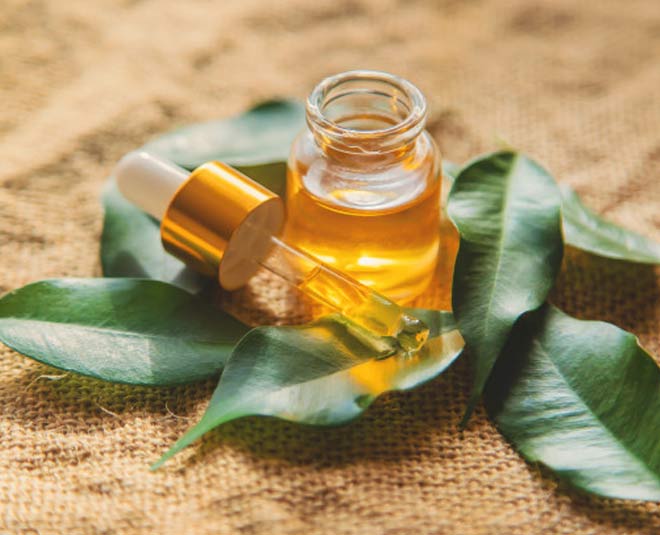 dandruff hair fall treatment tea tree oil inside 