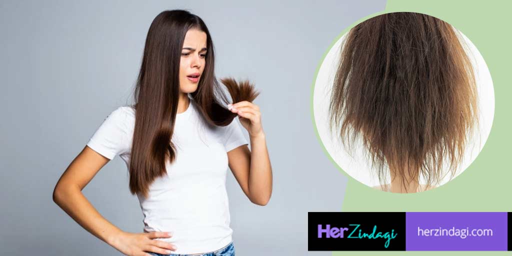 Burnt Hair Treatment At Home By Expert Expert Tips हीटिंग प्रोडक्