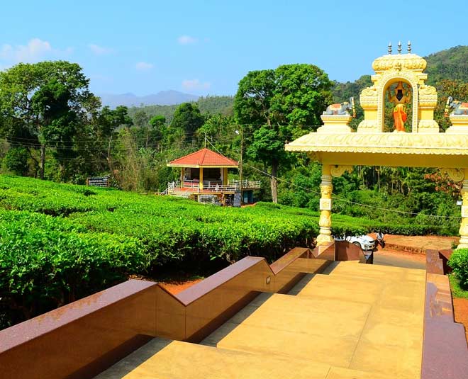 गटोंगा टी एस्टेट famous tea gardens in india inside