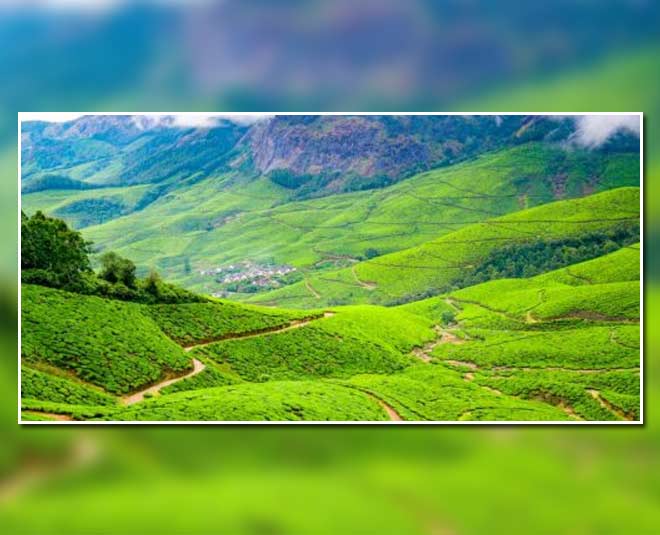 कोलुकुमलाई टी एस्टेट famous tea gardens in india inside