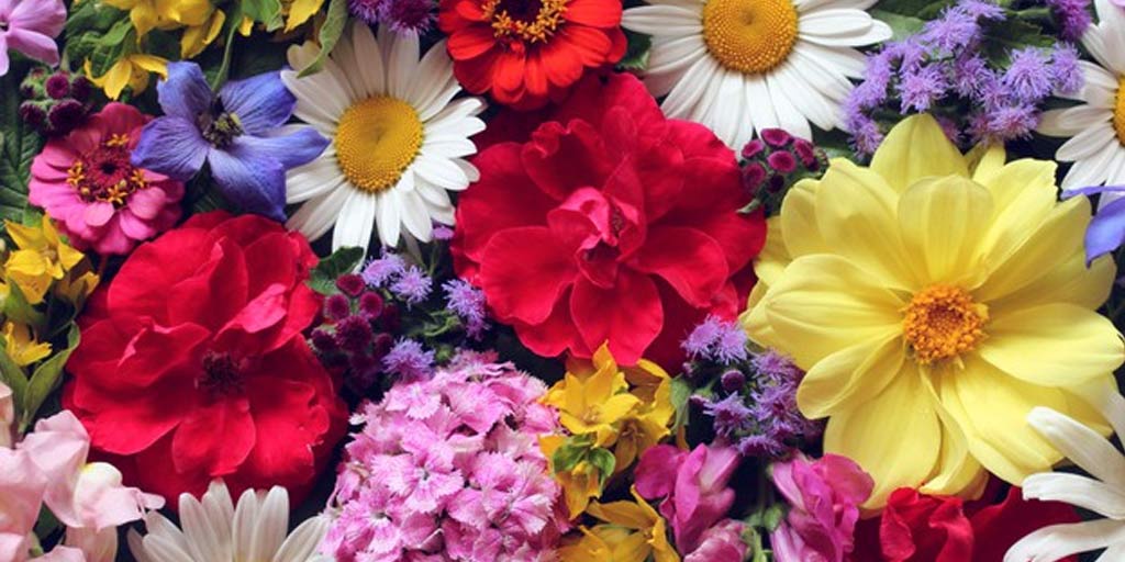 Flowers for Health By Ayurvedic Expert