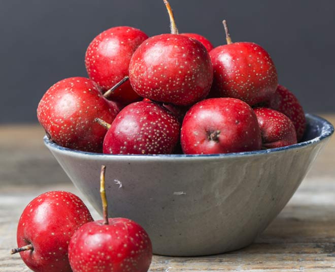 hawthorn berries fruit
