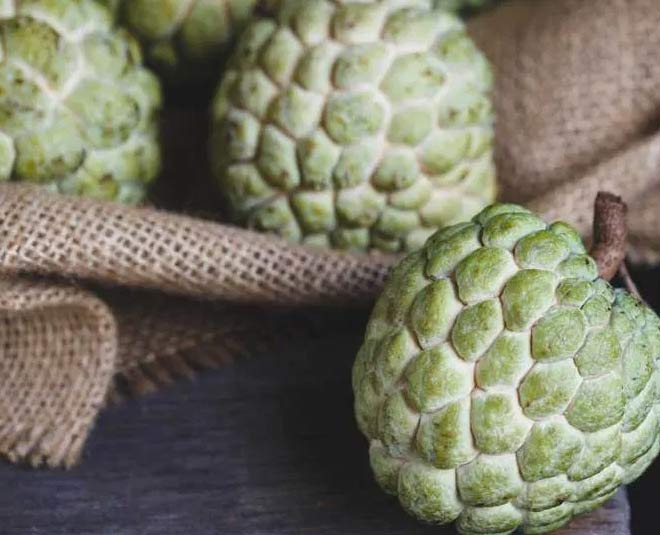 how to ripen custard apple at home inside 