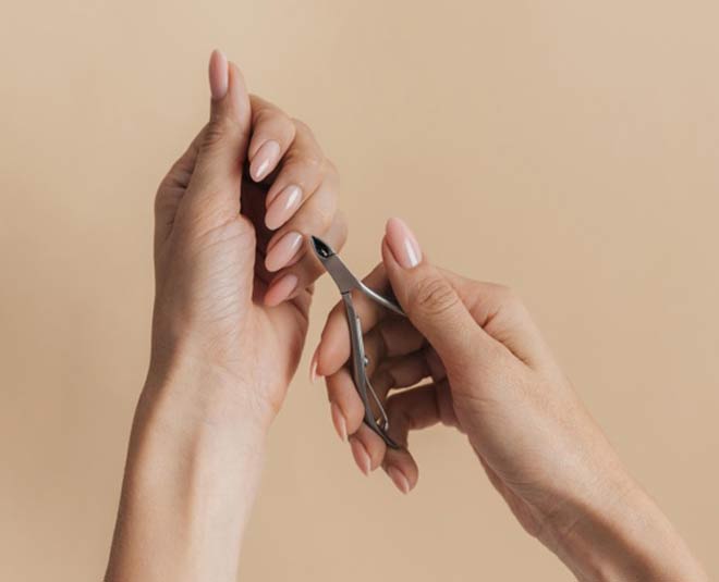 inside  metal tooths