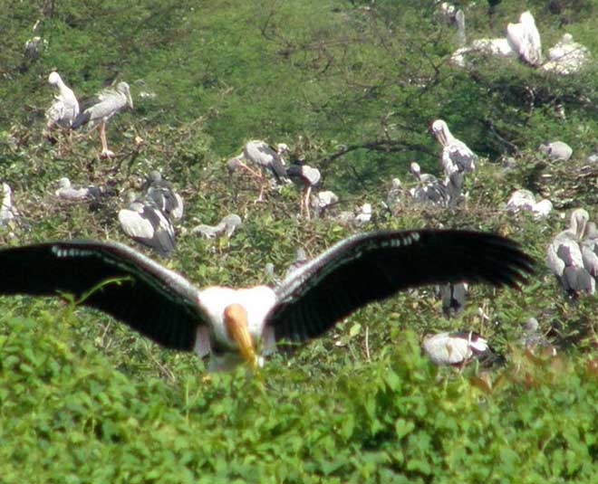 inside  , Asia Second Largest Artificial Lake