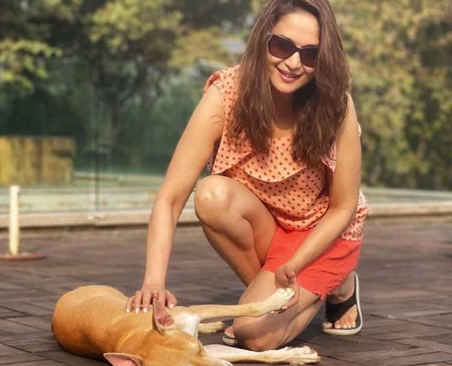 madhuri dixti new web serise