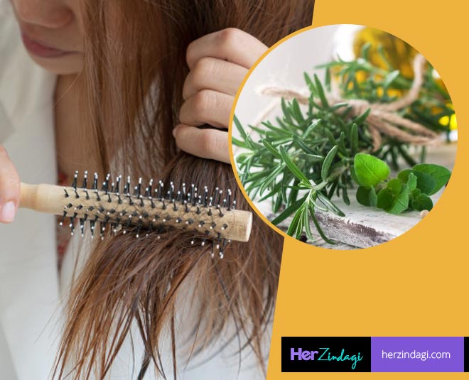 these-5-herbs-and-spices-are-helpful-in-hair-growth-in-hindi-these-5