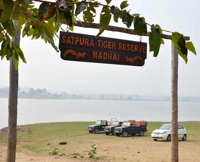 national parks in madhya pradesh