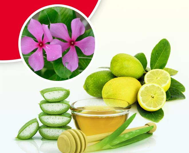 sadabahar flower hair pack