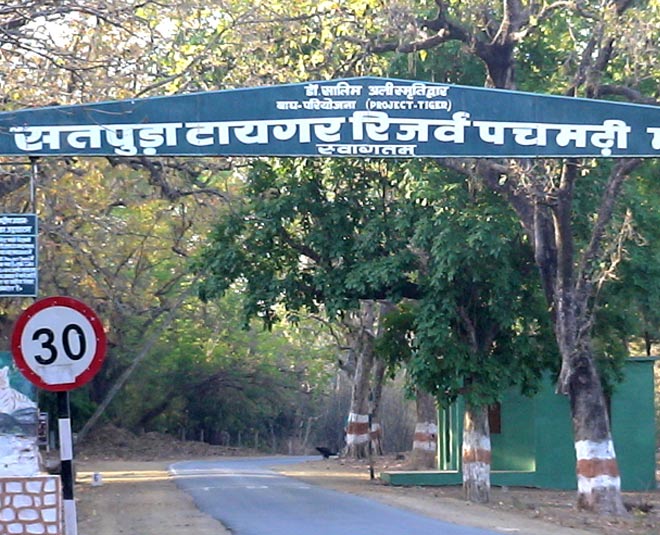 satpura national parks in madhya pradesh inside 