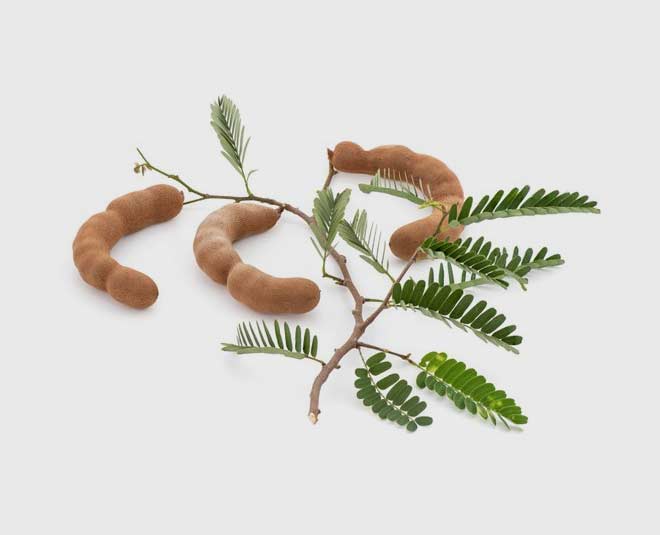 tamarind leaves health benefits inside 
