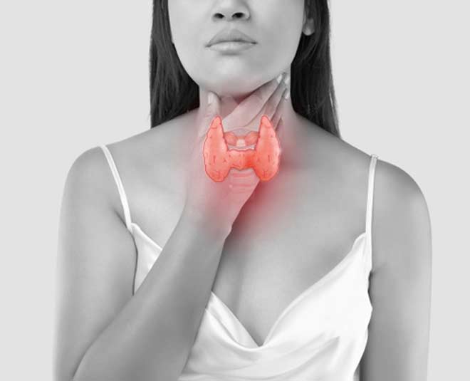 thyroid gland inside 