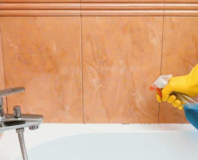 tips to clean mold from bathroom walls inside 
