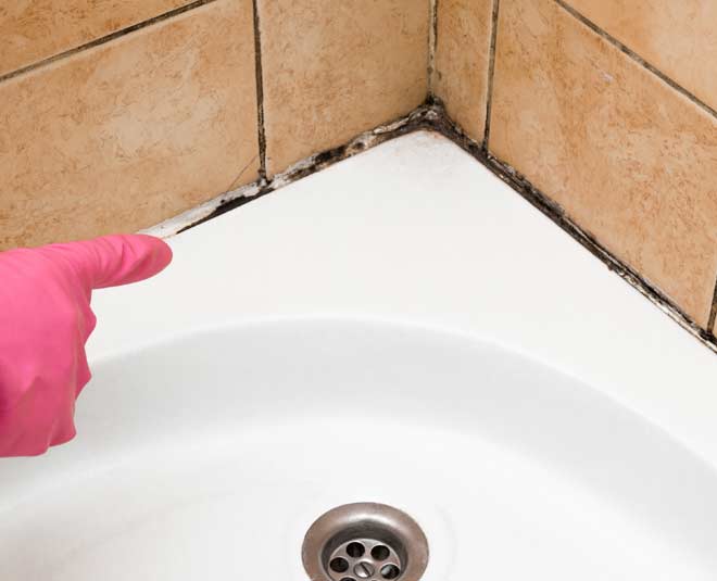 tips to clean mold from bathroom walls inside 
