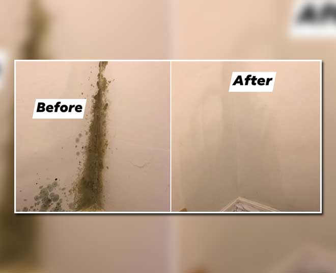 tips to clean mold from bathroom walls inside 