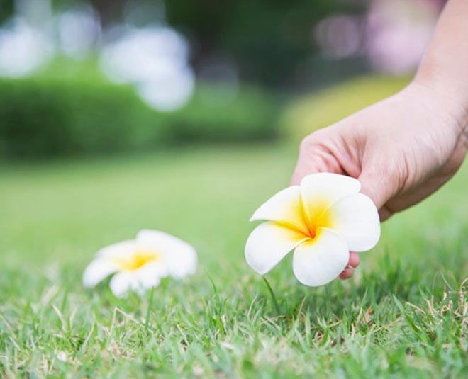 , vastu tips in hindi