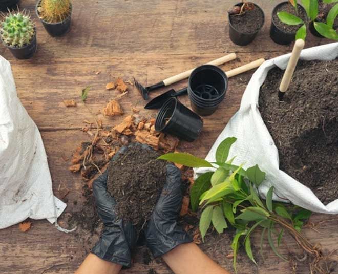 Soil prepare for plant
