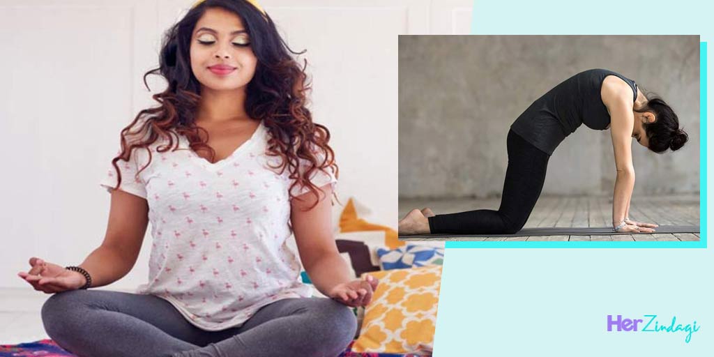 Cat Cow Pose Benefits and Steps महिलाएं घर पर रोजाना करें ये स्‍पेशल