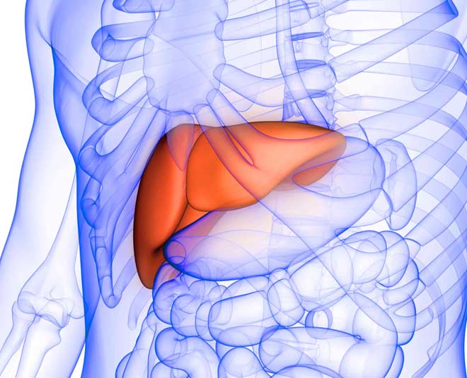 fatty liver non alcoholic