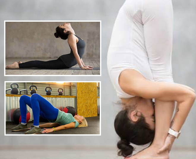 Jeevmoksha Yoga Gurukul - Yoga for Beginners: 10 Basic Poses (Asanas) to  Get You Started. More details Visit : http://bit.ly/2O8dAiO | Facebook