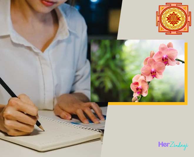 What Plants are Good for Studying According to Vastu in Hindi what