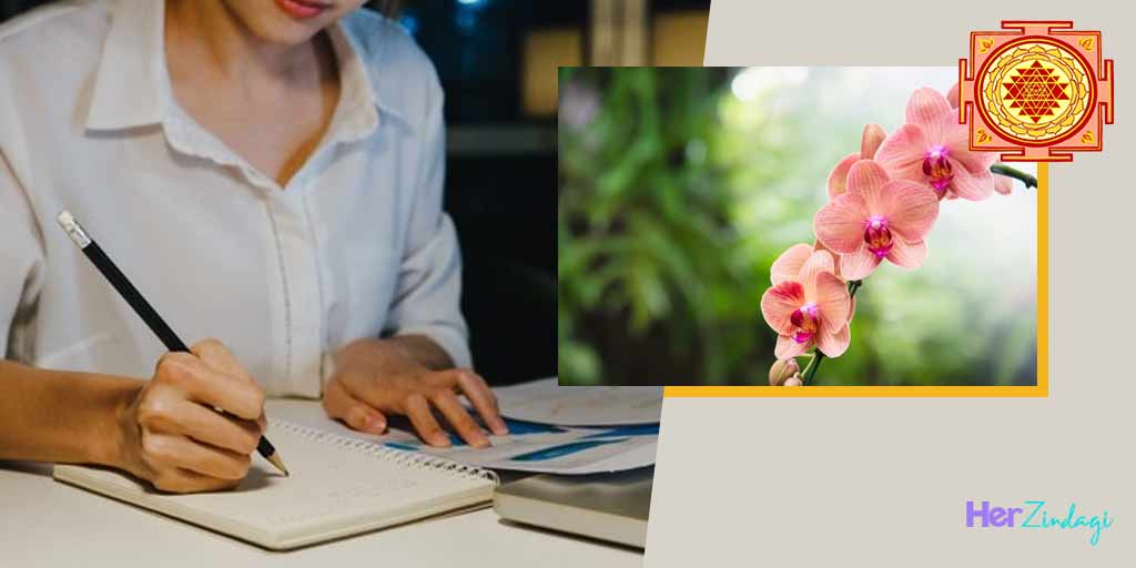 What Plants are Good for Studying According to Vastu in HindiVastu