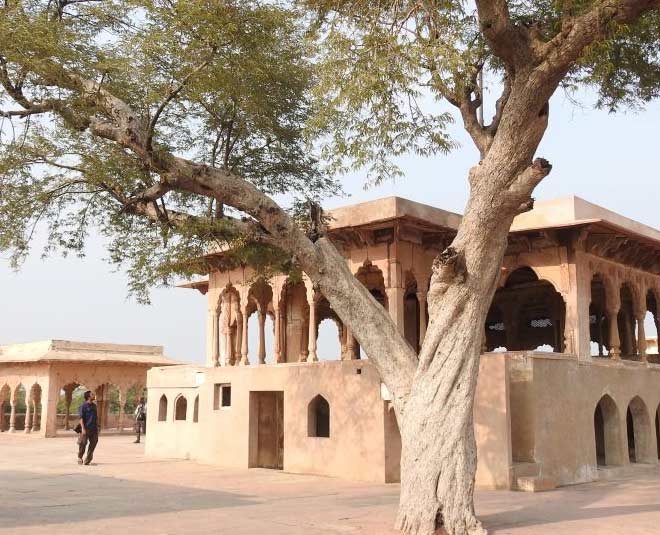 lohagarh fort history bharatpur inside 