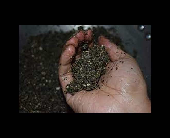 tips to make perfect black sesame laddu in hindi